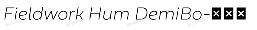 Fieldwork Hum DemiBo字体转换
